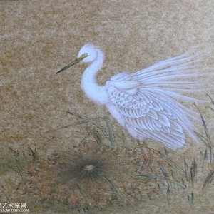 工笔、没骨花鸟画