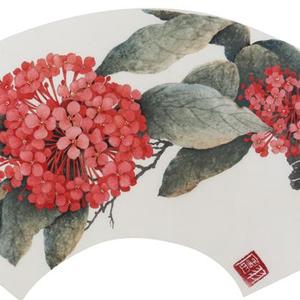 中国画《龙船花》