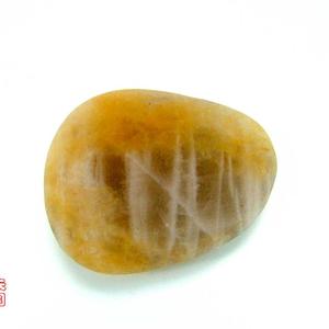 金松茂林