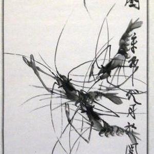 水墨虾《虾趣图》