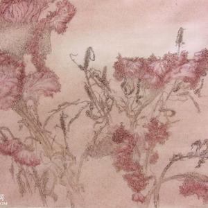 生命系列4