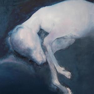 死狗