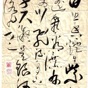 草书 日照