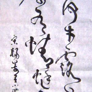 小荷