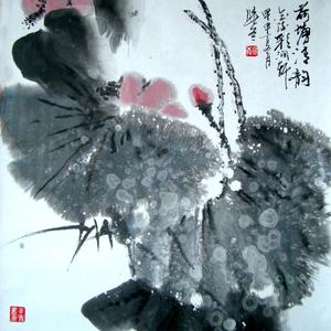 荷塘清韵