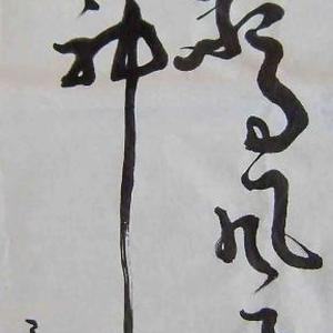 笔落惊风雨