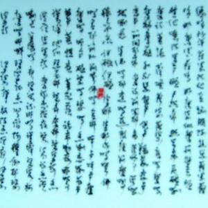 草书‘大悲咒’