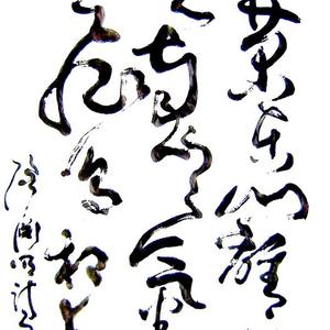 采菊