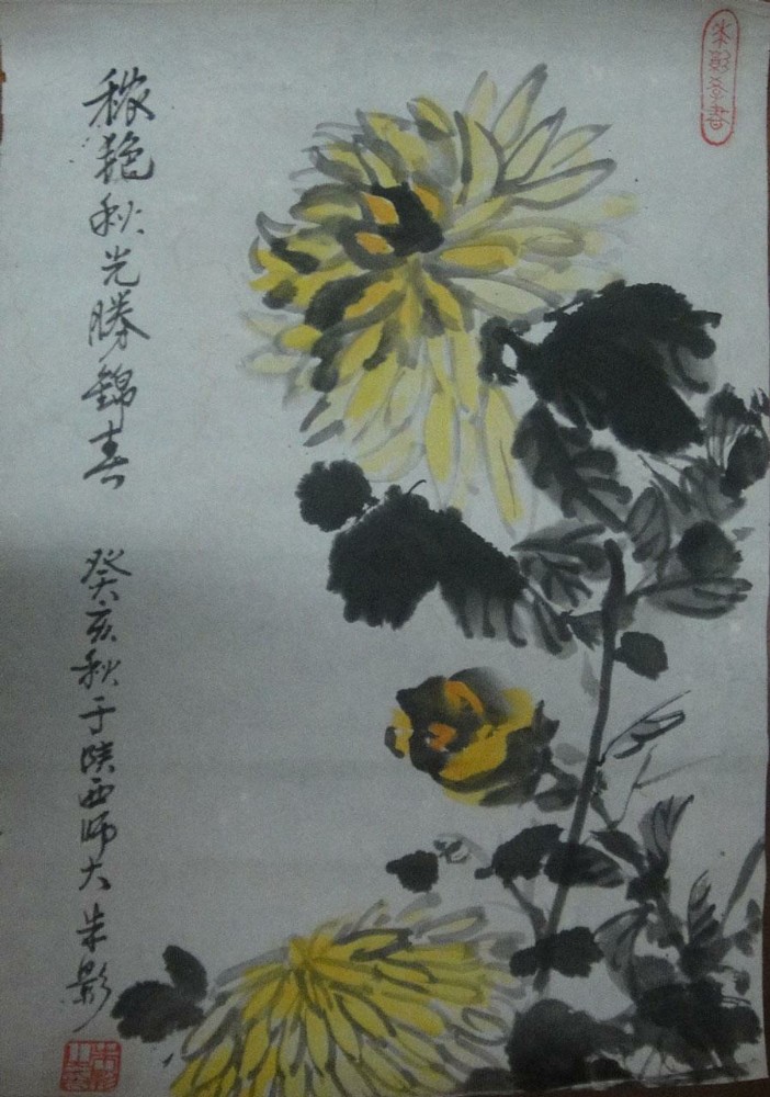 菊花