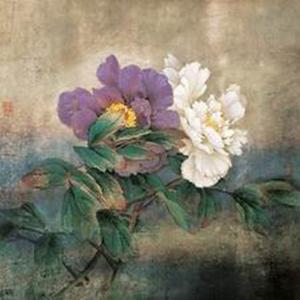 白与紫