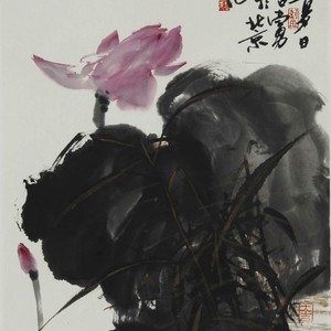 粉荷