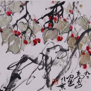 轻舞飞扬