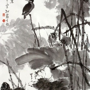 荷塘晨曦