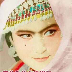 花儿为什么这样红