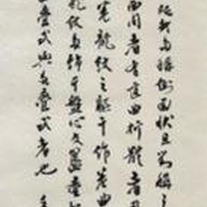 跋贾文忠龙形拓