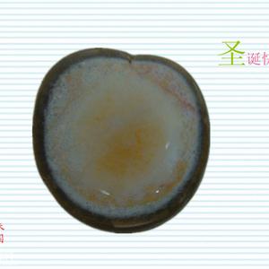 艺术剖面：苹果