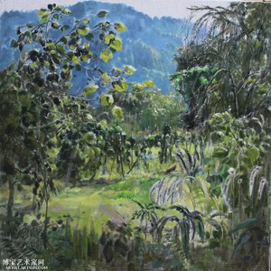 清晨中的山茶园