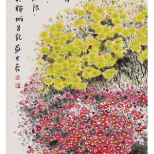 小野菊
