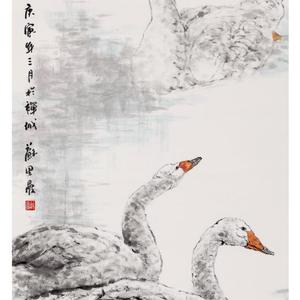 水暖任游弋