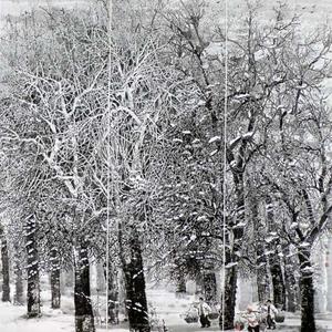 晴雪