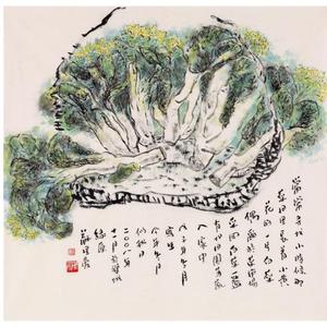 一篮白菜
