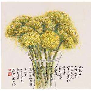无叶黄菊