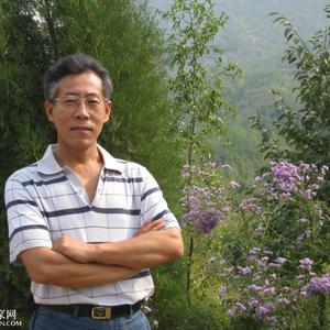 芝光林