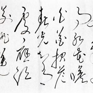 草书。杜莆詩，