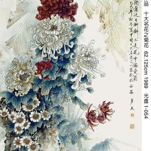 工笔画中国十大名花.菊花