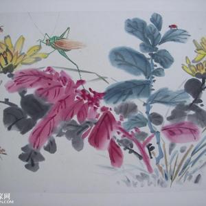 秋菊艳来红