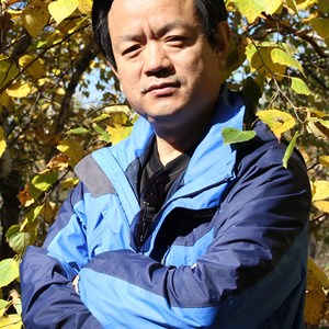 杨宝军
