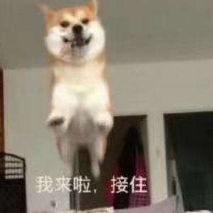 不知道叫什么