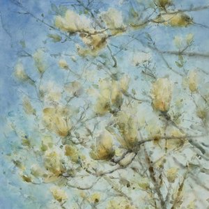 9《白玉兰》78x106cm 2017