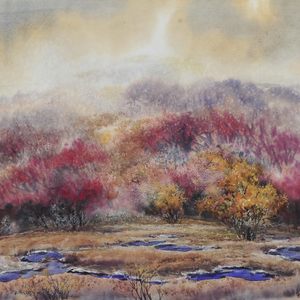 红柳情 60X49