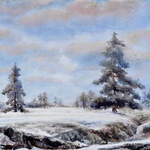 松树兄弟 71.3X47