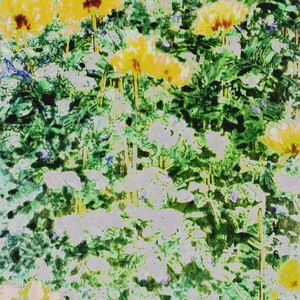 燕雀争高枝 鹰鹏傲九霄180x96cm