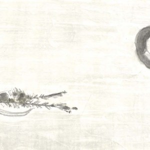 取其精华68cmx136cm
