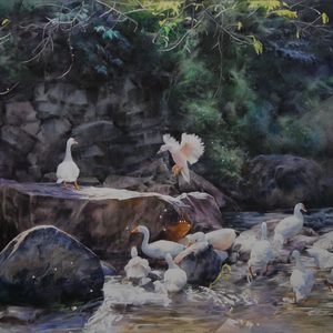 白鹅戏水56x76cm