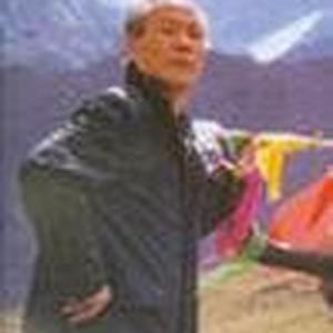 陈舜今