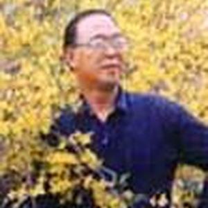 原存根