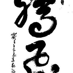 李苏珍 书 腾飞
