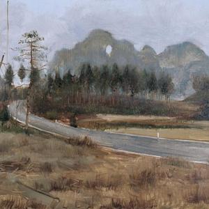 路边的风景