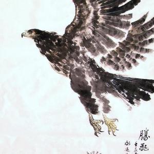 腾飞
