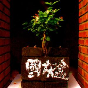 森达达《国灰盒》