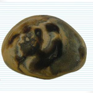 奇石欣赏：本•拉登最后的天伦之乐