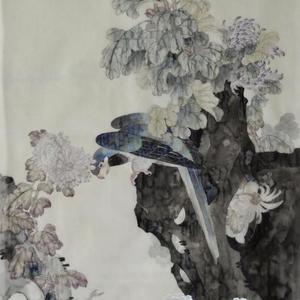 菊花鹦鹉