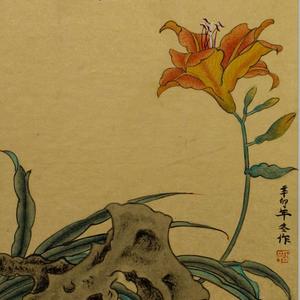 《独有暗香来》
