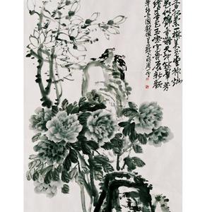墨牡丹
