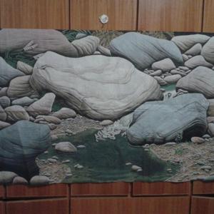 石韵