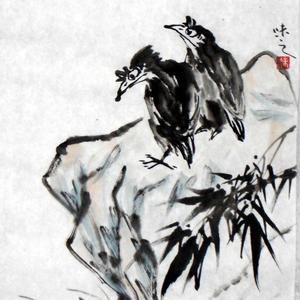 双栖